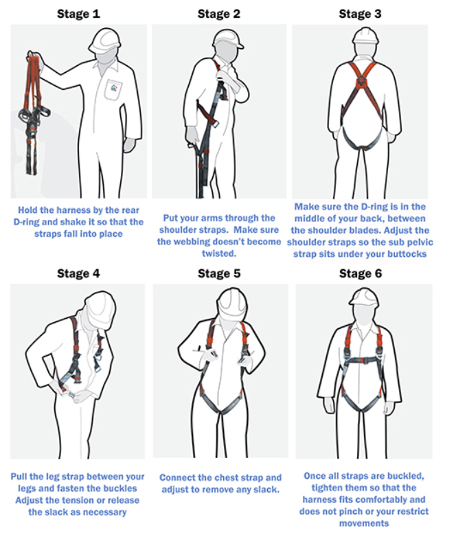 Harness and shop lanyard training